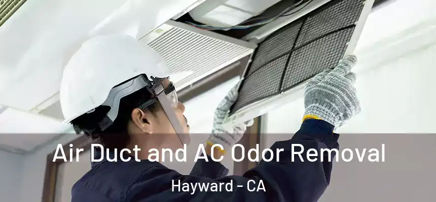 Air Duct and AC Odor Removal Hayward - CA