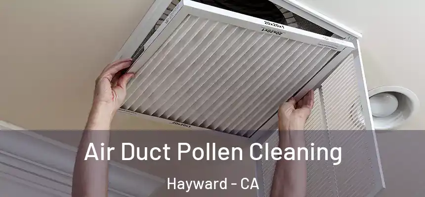 Air Duct Pollen Cleaning Hayward - CA