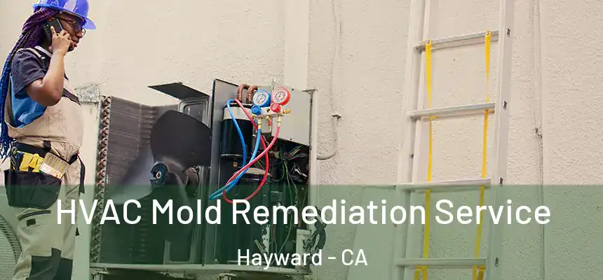 HVAC Mold Remediation Service Hayward - CA