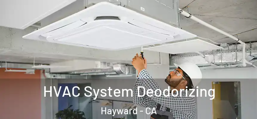 HVAC System Deodorizing Hayward - CA