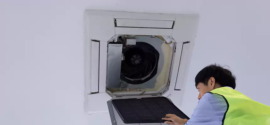 Our Dryer Vent Sanitization Service Services in Hayward, CA