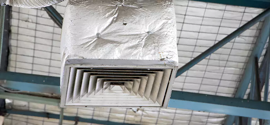 Our HVAC Mold Remediation Service Services in Hayward, CA