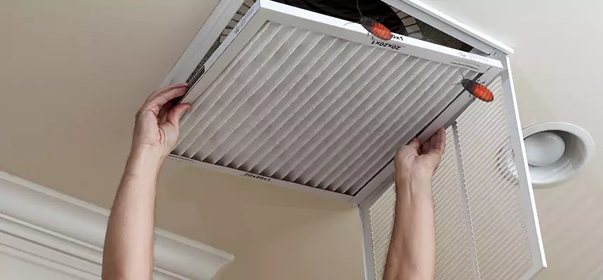 Our Insect Removal from Air Ducts Services in Hayward, CA
