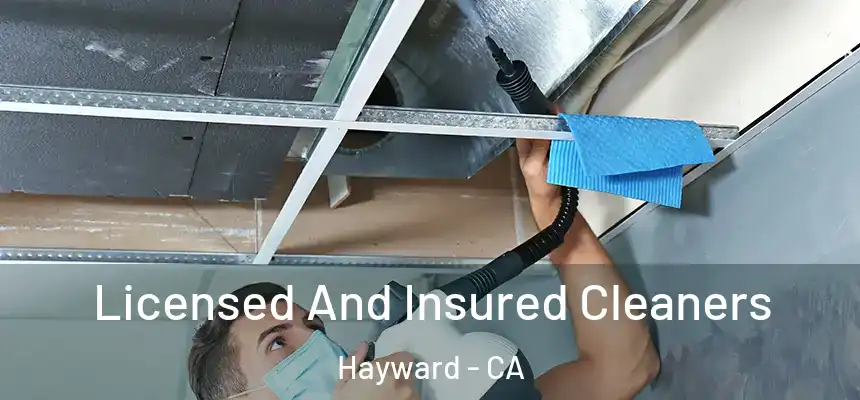 Licensed And Insured Cleaners Hayward - CA