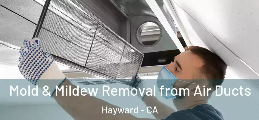Mold & Mildew Removal from Air Ducts Hayward - CA