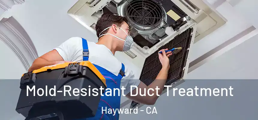 Mold-Resistant Duct Treatment Hayward - CA