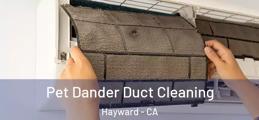 Pet Dander Duct Cleaning Hayward - CA