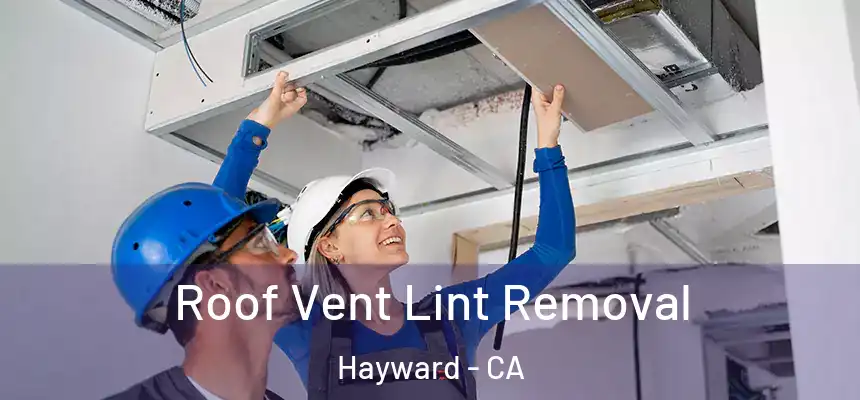 Roof Vent Lint Removal Hayward - CA