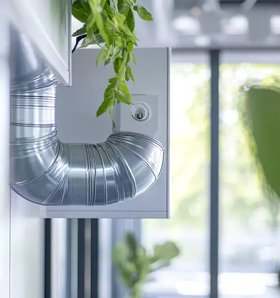 Professional Eco-Friendly Duct Cleaning Services in Hayward, CA