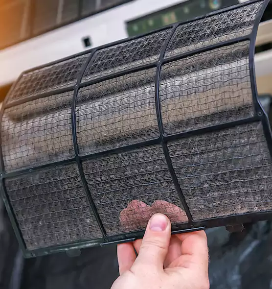 About Pet Dander Duct Cleaning in Hayward, CA
