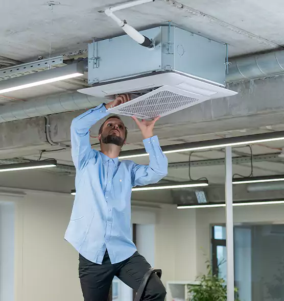 Advanced Rodent Droppings In Vents in Hayward, CA